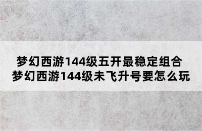 梦幻西游144级五开最稳定组合 梦幻西游144级未飞升号要怎么玩